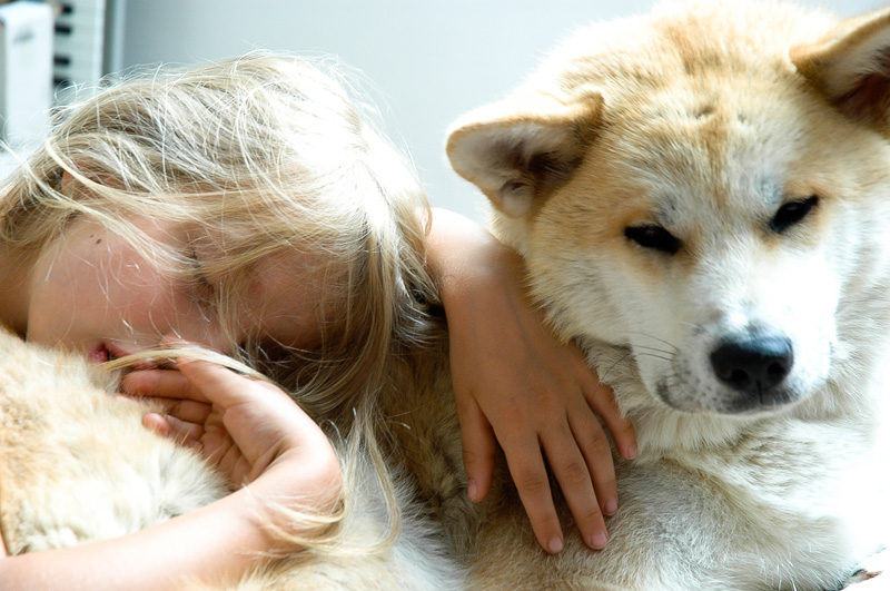 Akita and Children