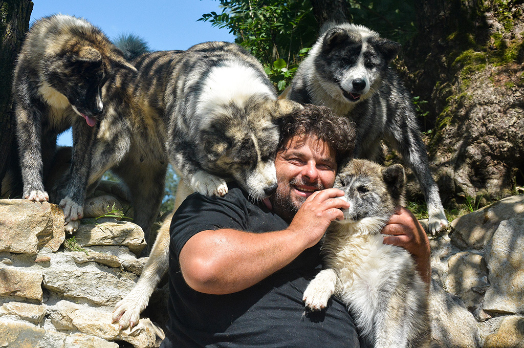 Invasion of Halne Wzgorze