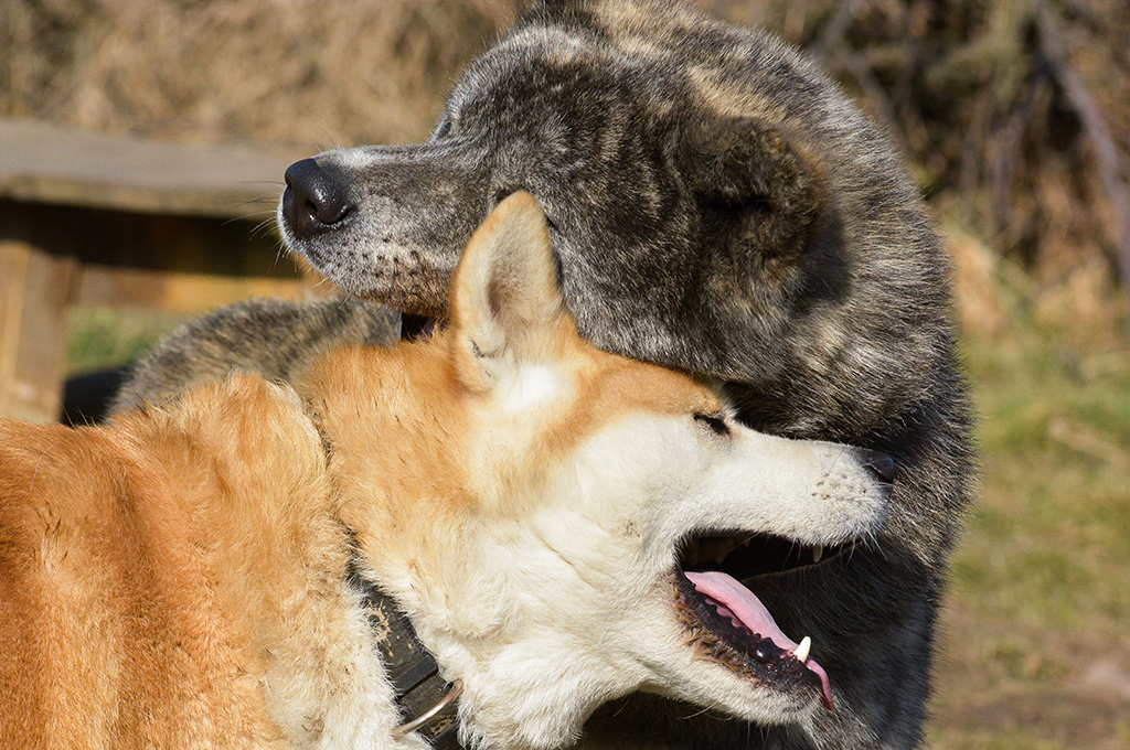 Lovers... Keiko&Morik