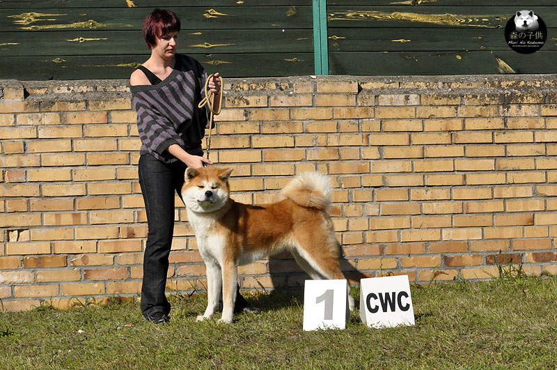 KWPR Zielona Gora (CAC)