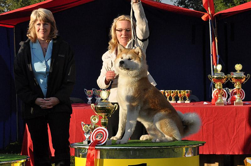 Klubowa Wystawa Szpicow