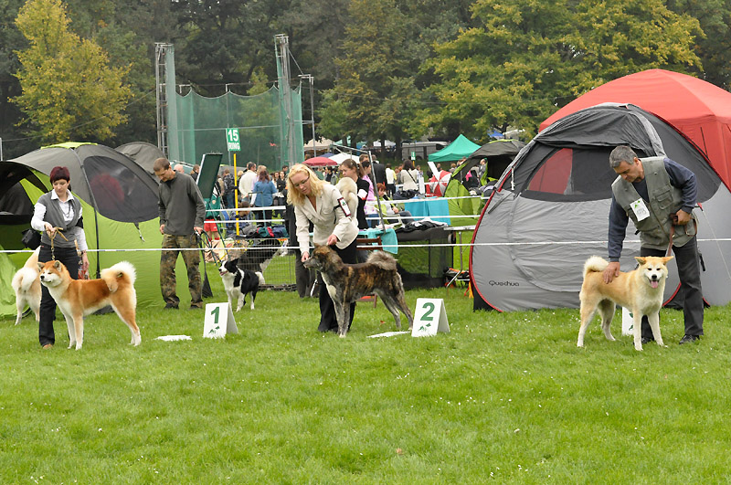 MWPR Wroclaw (CACIB)