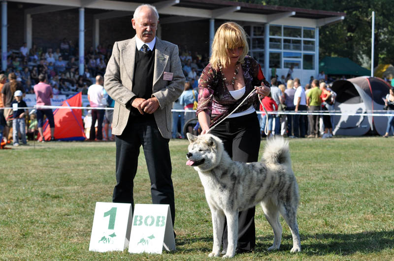 MWPR Wroclaw (CACIB)