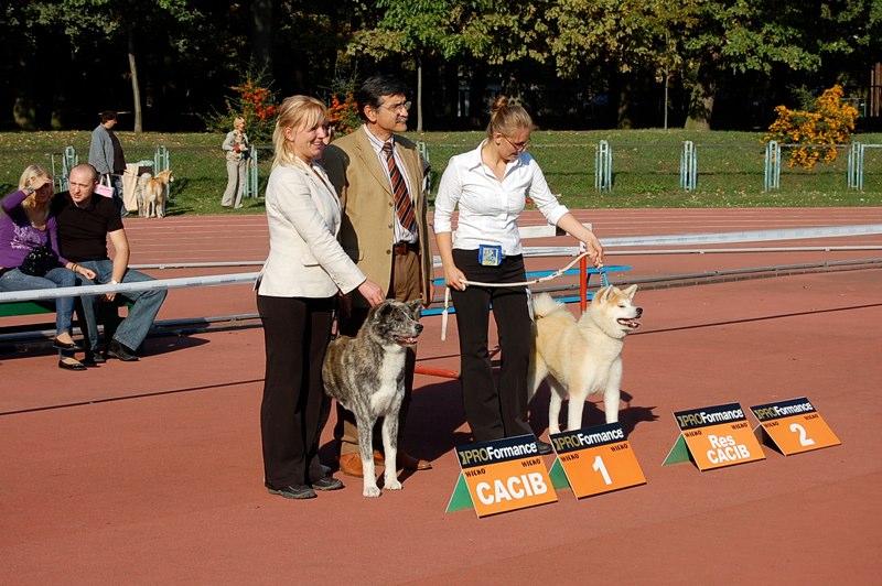 MWPR Wroclaw (CACIB)