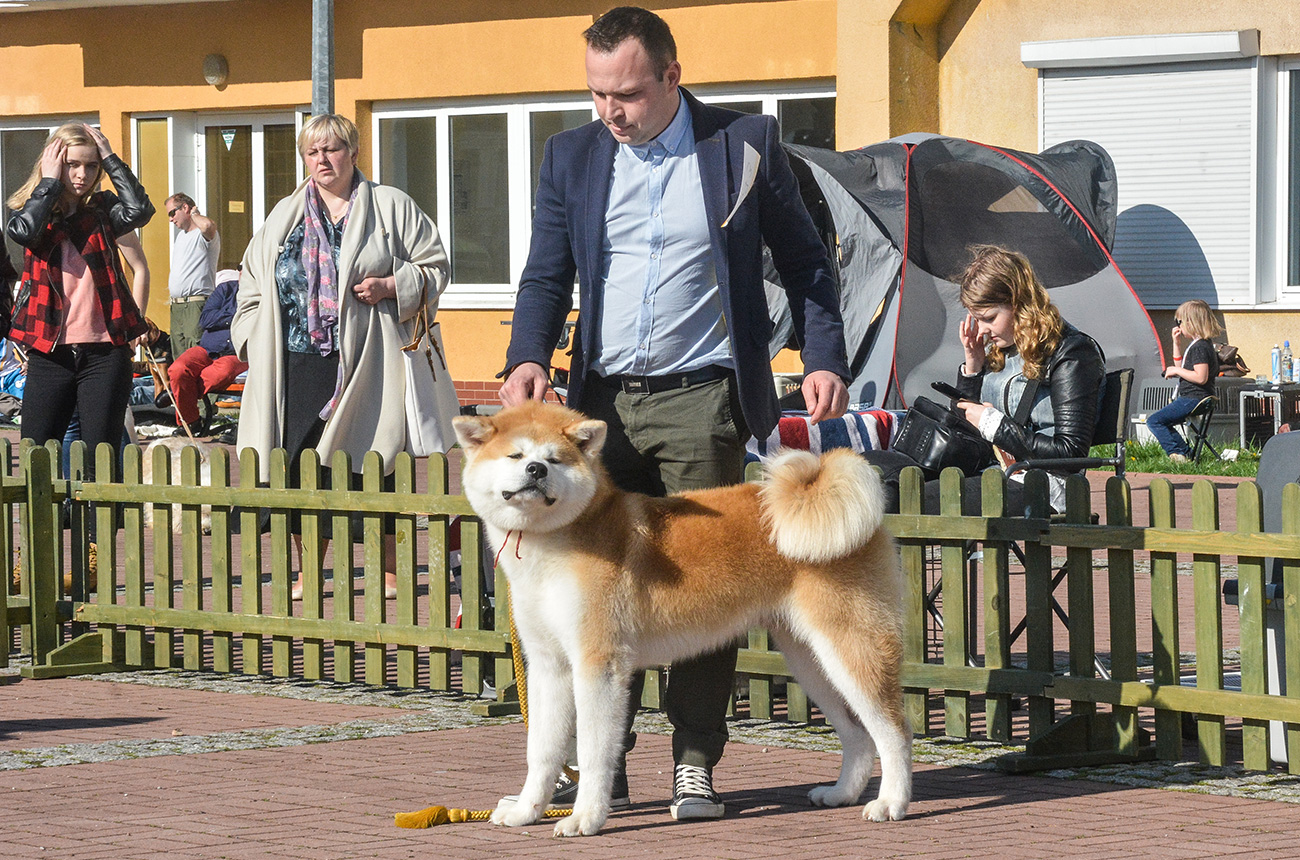 TAIKO GO Sara Hana Kensha