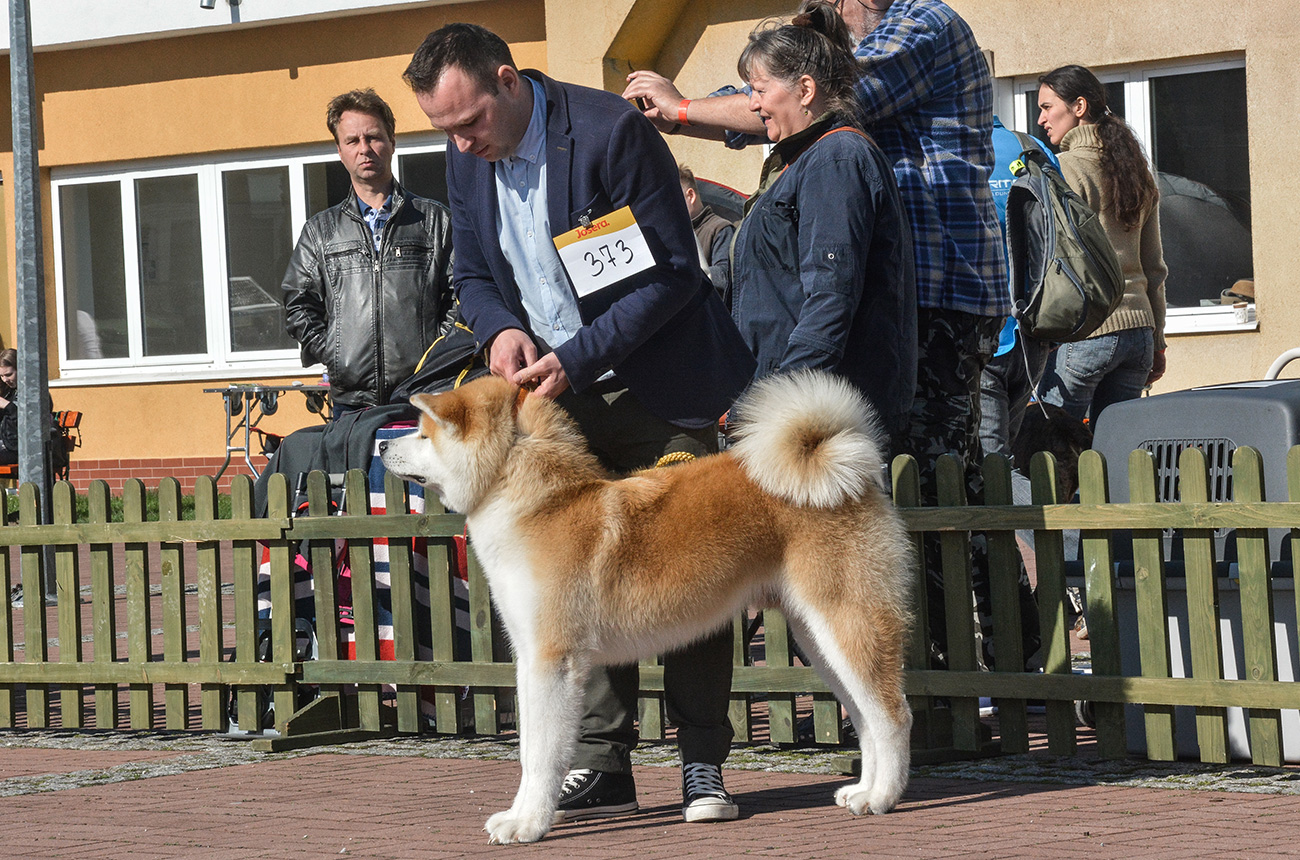 TAIKO GO Sara Hana Kensha