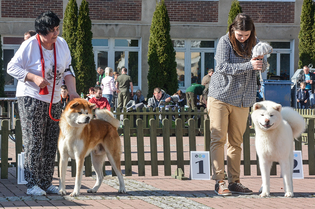 YUZUKI Kkum Yeoul & YUKITERU Halne Wzgórze