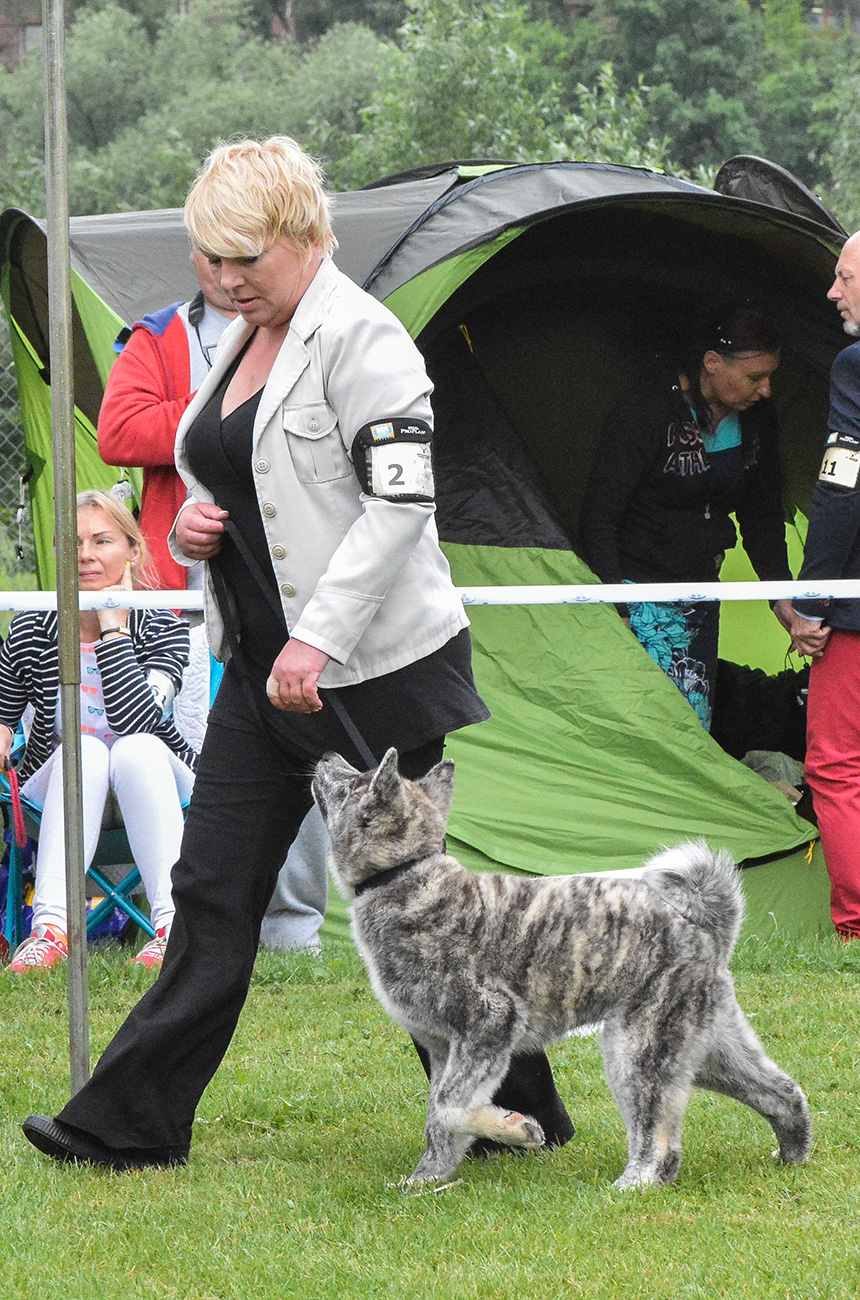 Yakuza Mori No Kodomo