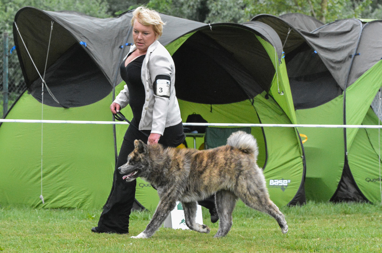 Akihide Mori No Kodomo