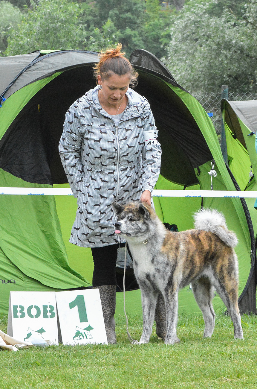 KEIKO Mori No Kodomo