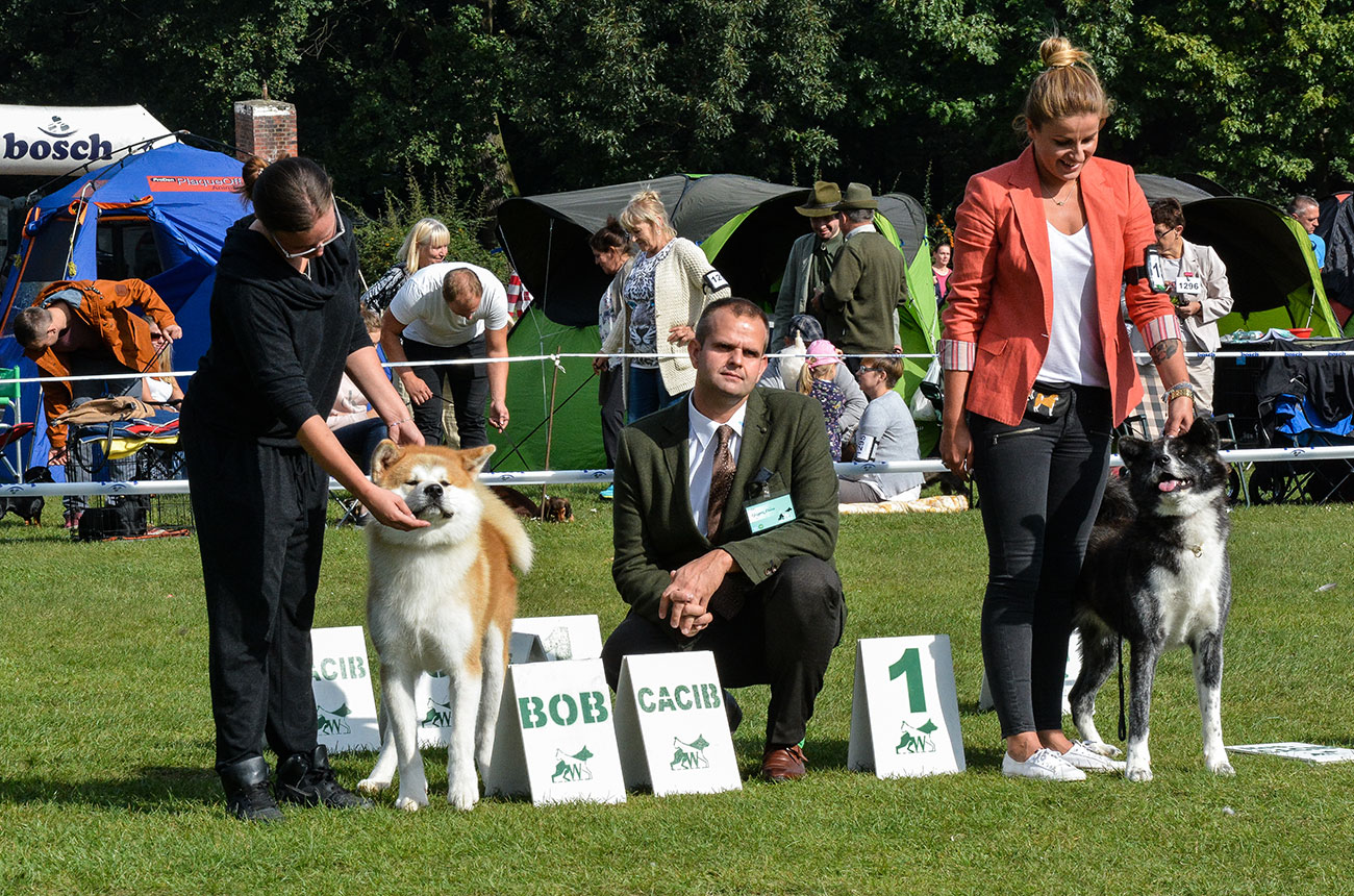 International Dog Show Wrocław 25.09.16