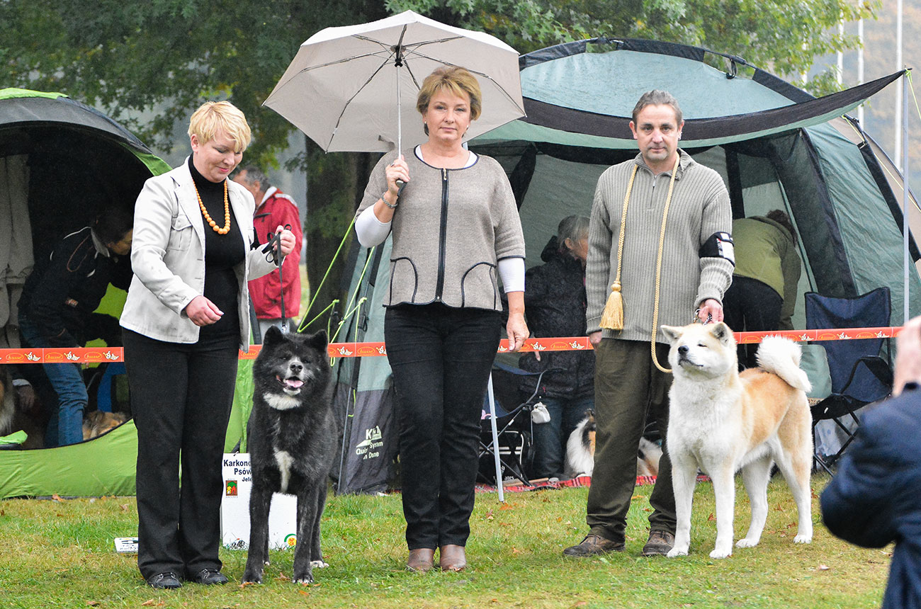 National dog Show in Jelenia Góra 16.10.2016