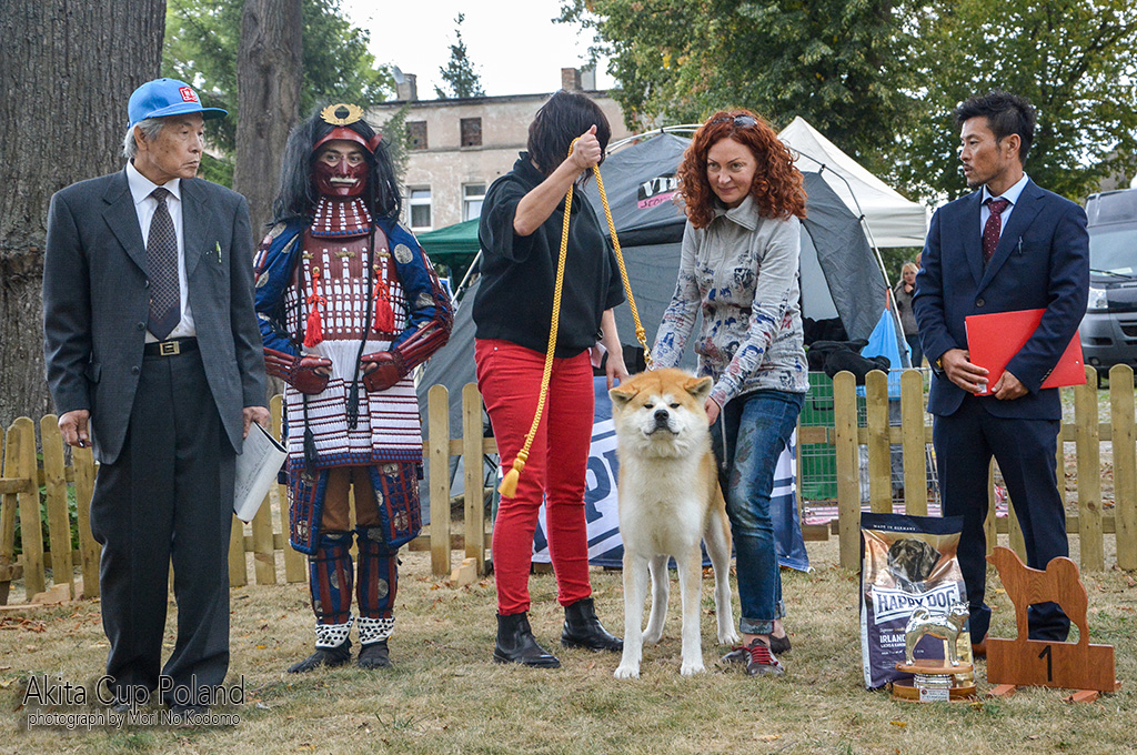 Akita Cup Poland 2015